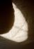 LINIE DESIGN KOBEREC Polar Angels